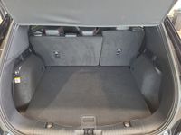 Ford Kuga - Vorschau Bild 16