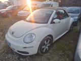 Volkswagen New Beetle 1.9 TDI 105CV Cabrio Lim.  - Volkswagen New Beetle: Beige