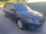 Skoda Octavia Combi 1.8 TSI Style 4x4,AHK,App.Con.,... - Skoda Octavia: Allradantrieb, 1.8