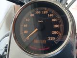 Harley-Davidson Softail Springer FXSTS - HARLEY-DAVIDSON FXSTS