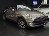 MINI Cooper Cabrio Automatik/Navi/Leder/Temp/Shz/PDC - Mini Cooper Gebrauchtwagen