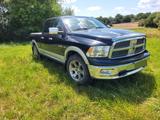 Dodge RAM - gebrauchte Dodge RAM aus dem Jahr 2010