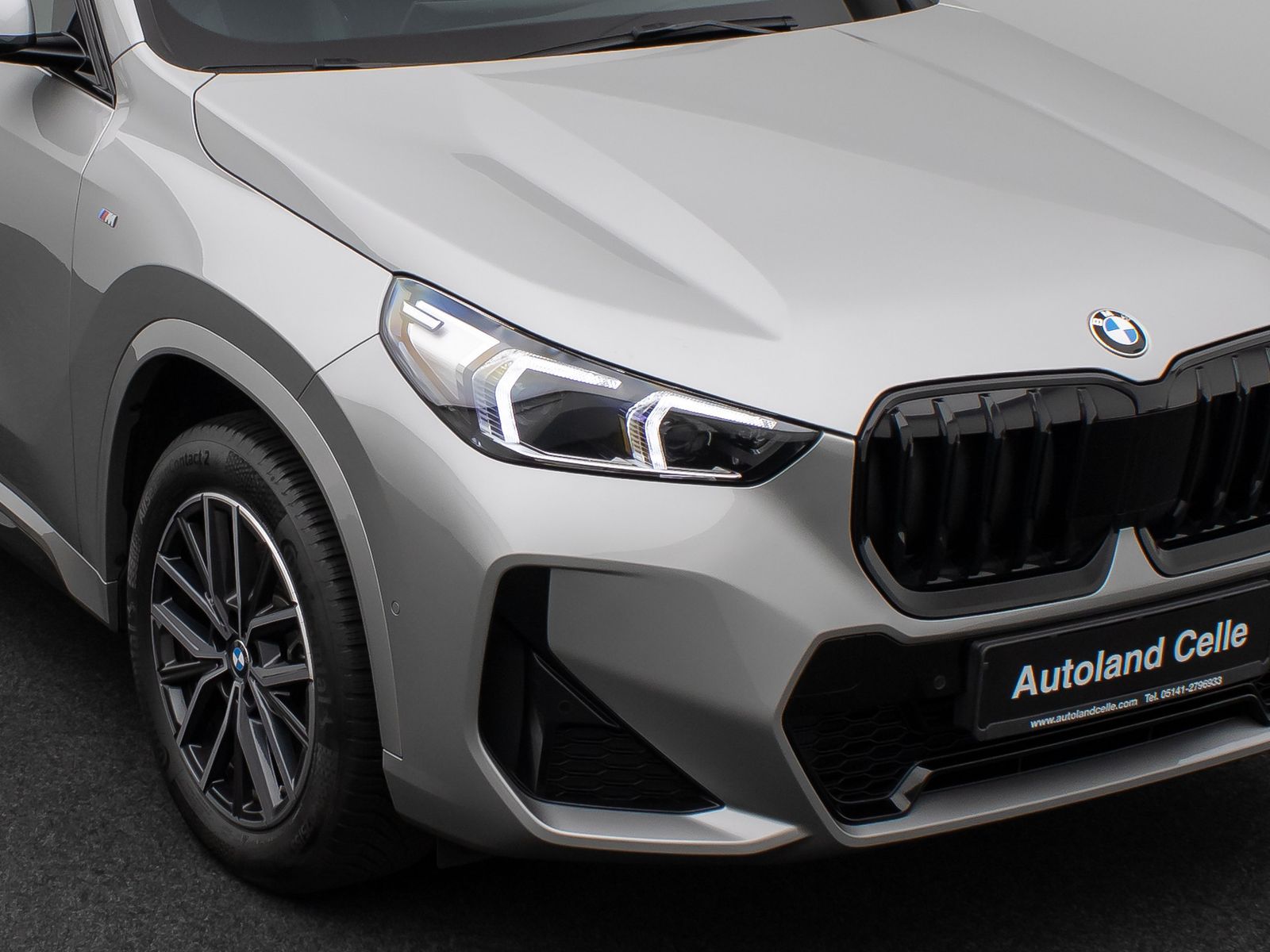 Fahrzeugabbildung BMW X1 sD20i M Sport Panorama Kamera DAB H/K Komfort