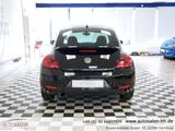 Volkswagen Beetle Cup Design*1Vorb*Servicegepf*PDC V/H*Sitz - Volkswagen Beetle: Cup