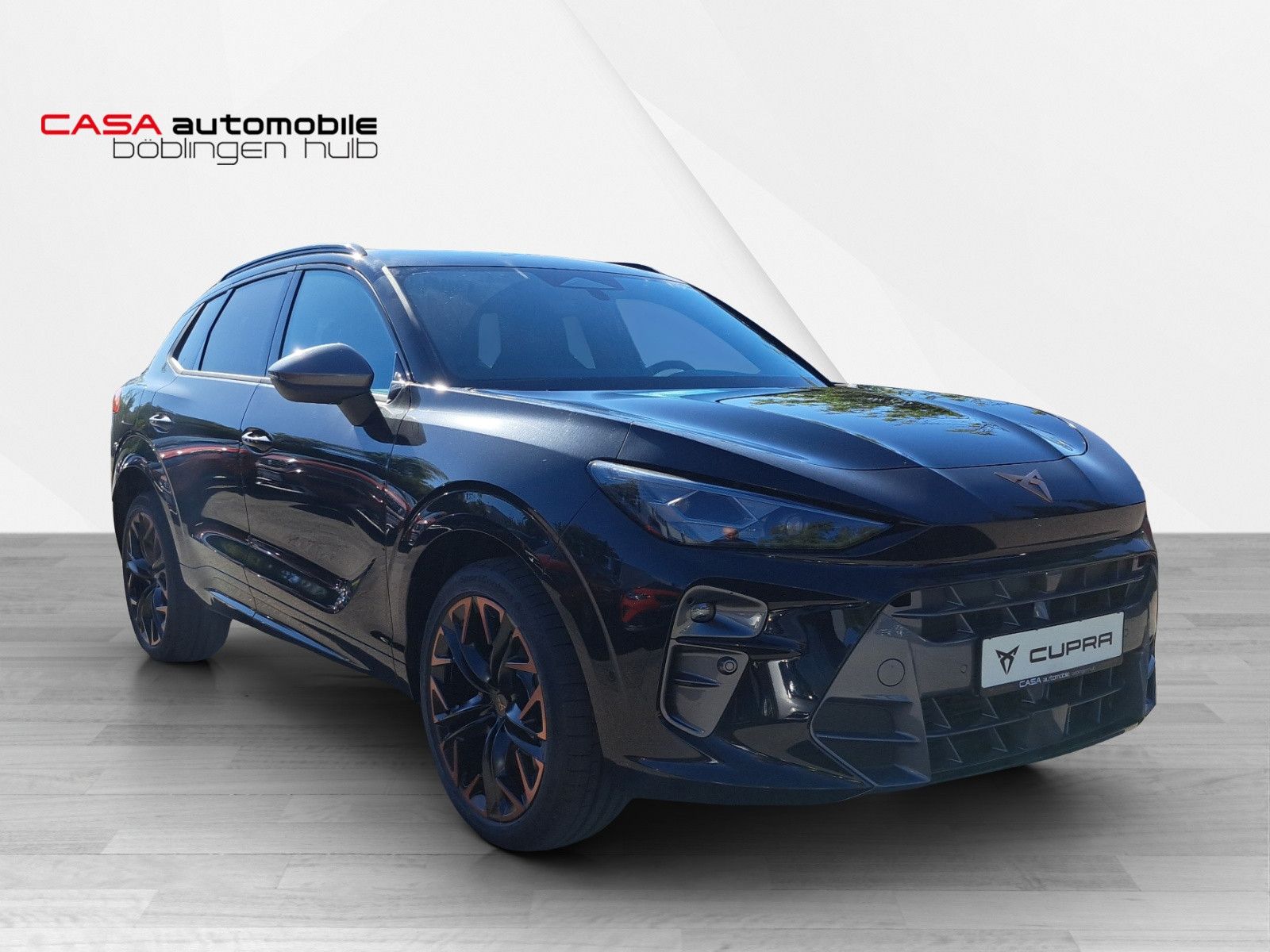 Terramar VZ 2.0 TSI 4Drive DSG HD-Matrix ACC DCC