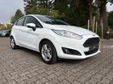 Ford Fiesta Titanium - Ford: Taxi