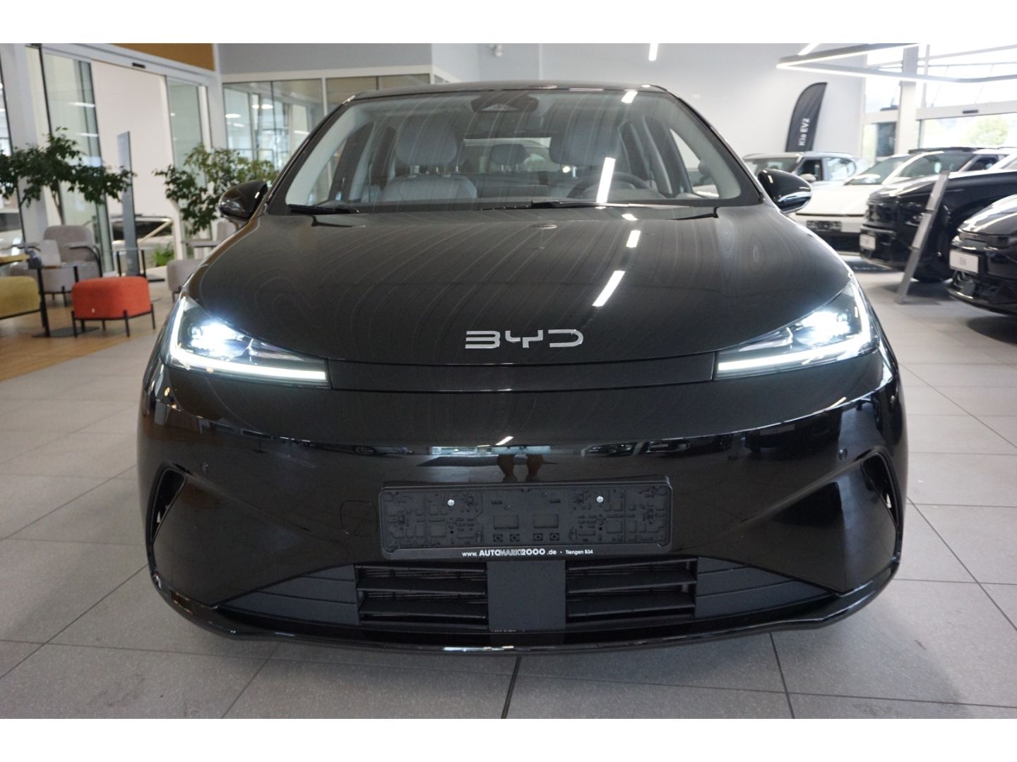 BYD DOLPHIN