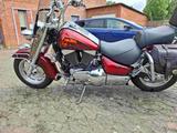 Suzuki VL 1500 - Angebote