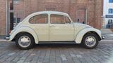 Volkswagen Käfer - Oldtimer: bis 10000 €