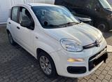Fiat Panda Pop - Fiat Panda Gebrauchtwagen in Düsseldorf