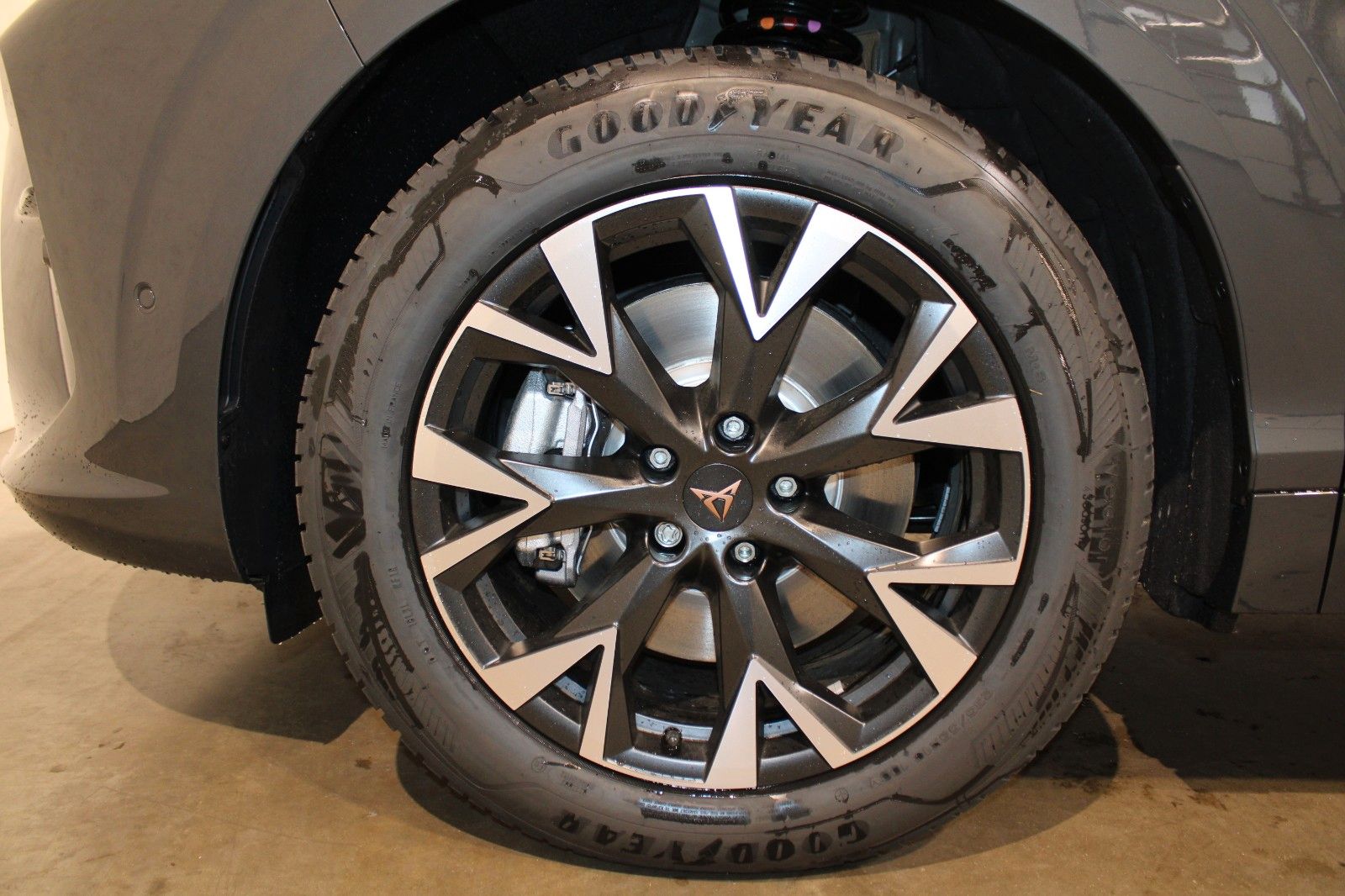 Cupra Terramar - Bild 18