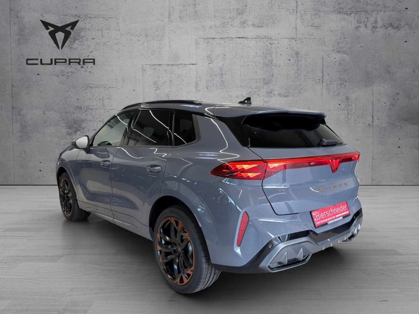 Cupra Terramar - Bild 8