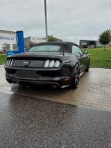 Ford Mustang 5.0 Traum in schwarz! - Ford Mustang Gebrauchtwagen in Stuttgart