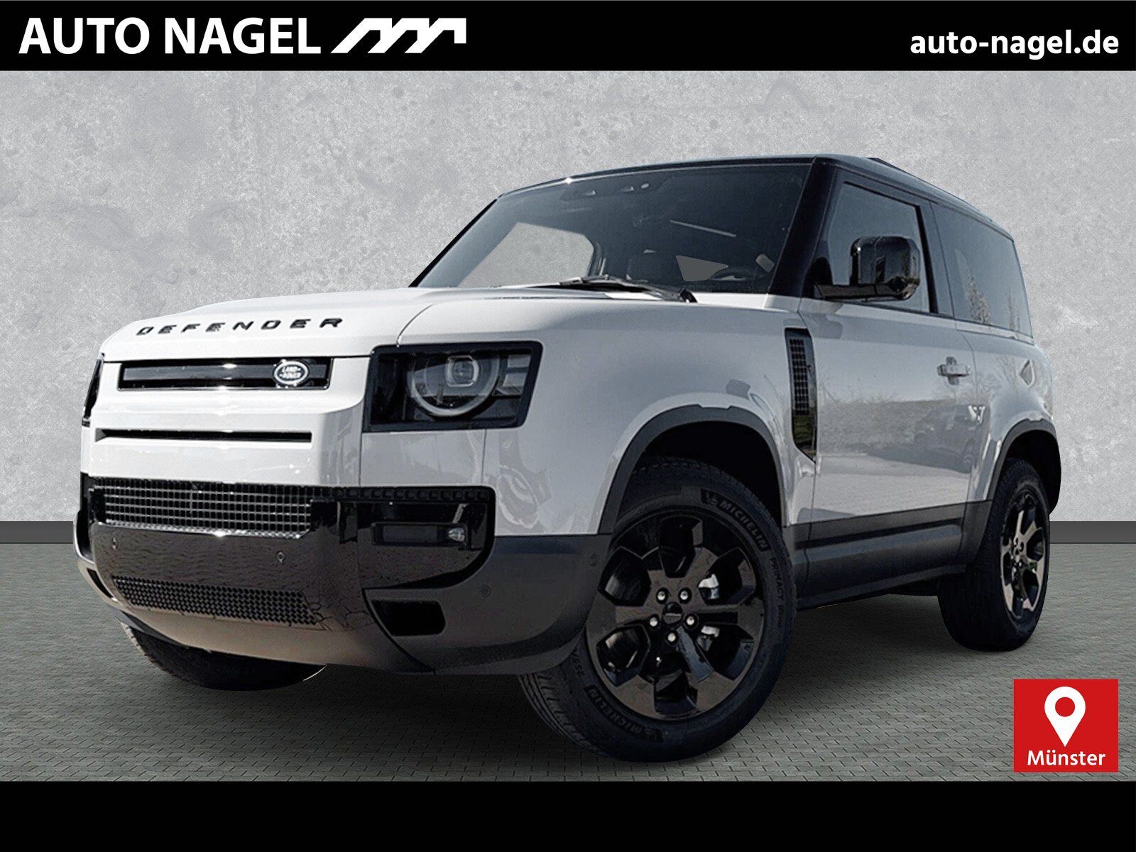 Land Rover Defender 90 D250 S 20"AHK Luftfed.Black+Winter-P