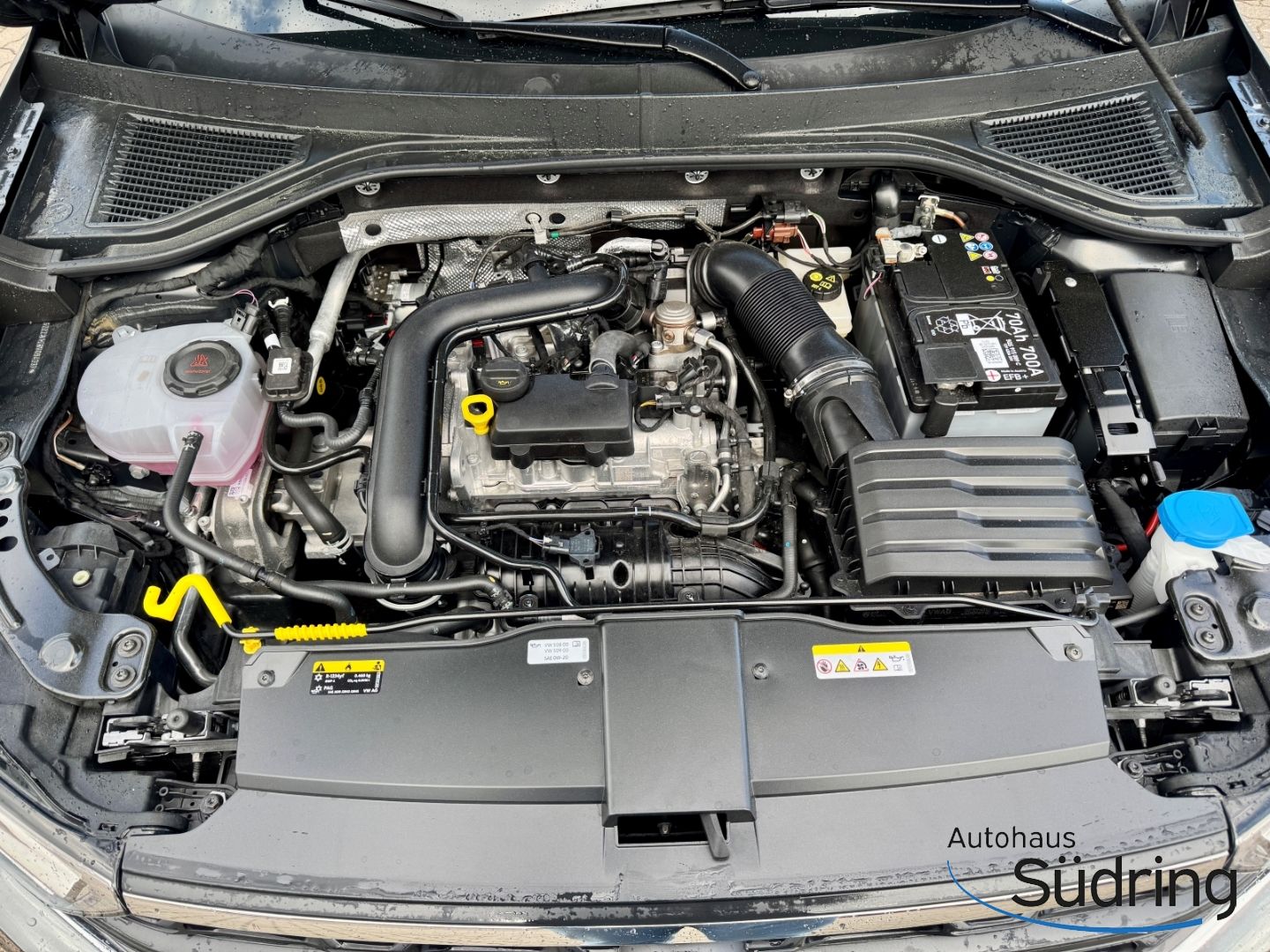 T-Roc 1,0 TSI Move AHK Rückfahrk. ACC AppConnect