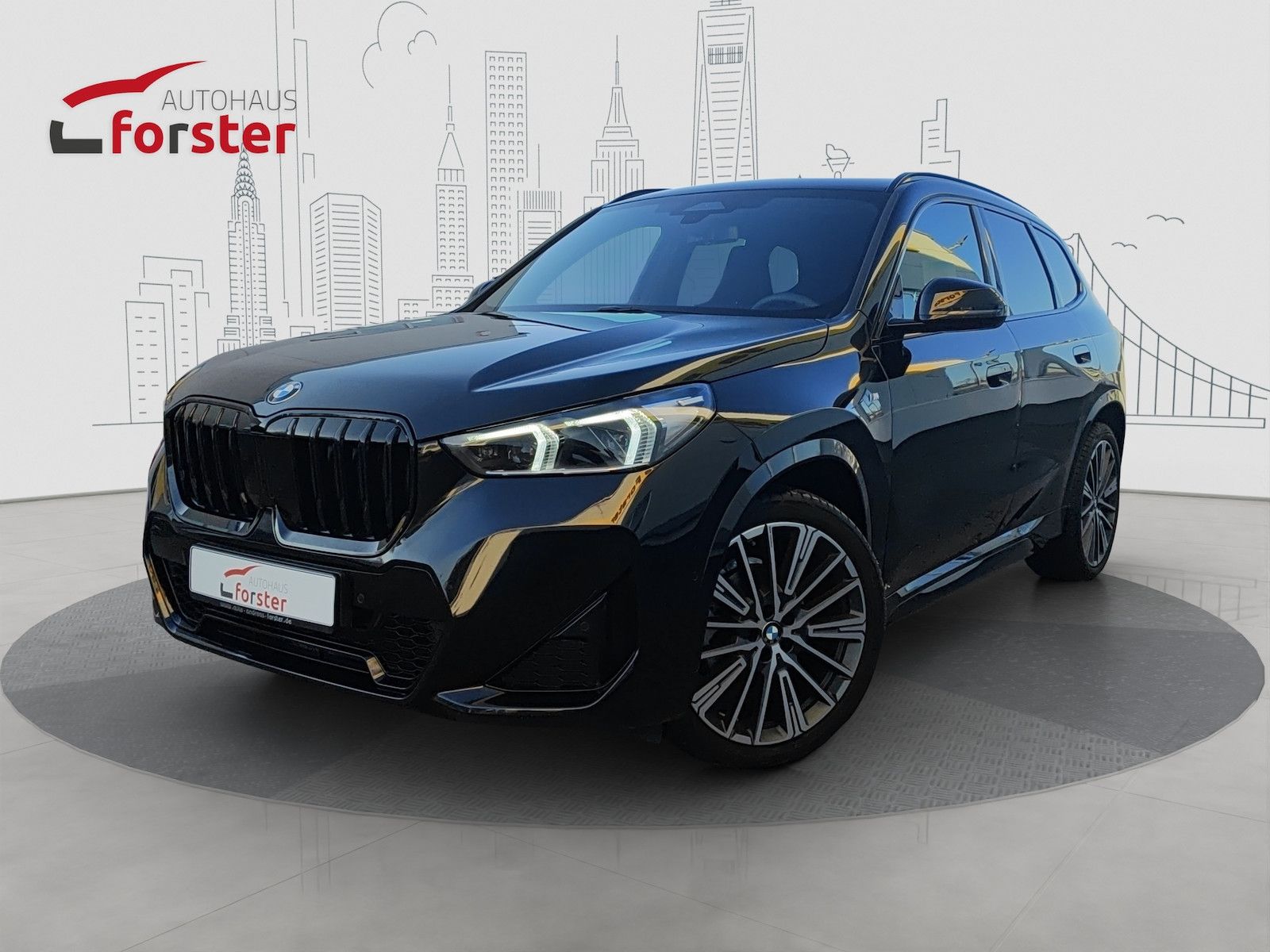 BMW X1 20d xDrive M Sport 20 ´´ Alu ACC AHK