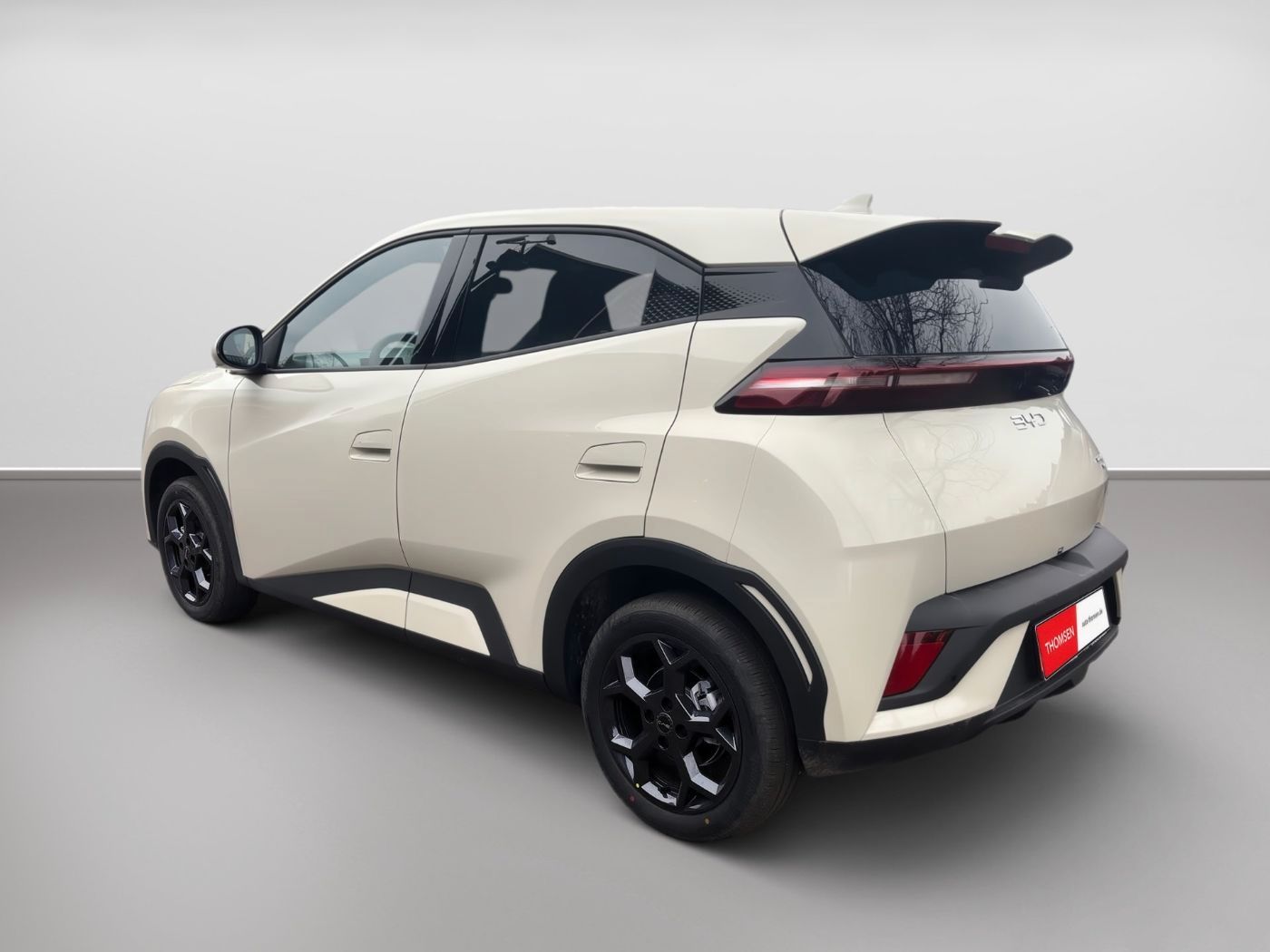 BYD DOLPHIN SURF