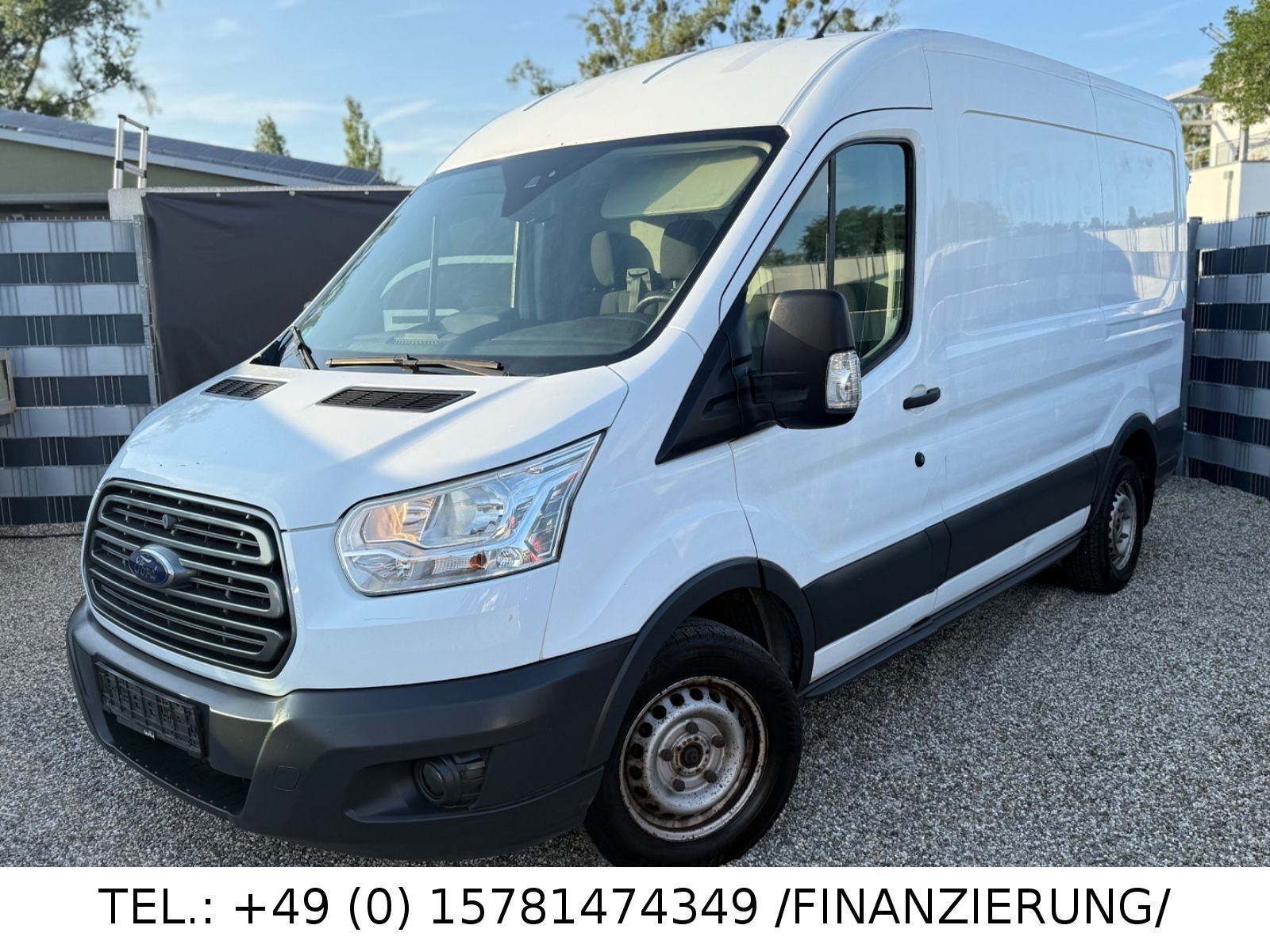 Ford Transit in Weiß bei Pagano Automobile Bild 1 von 1