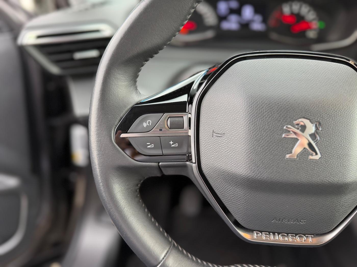 Peugeot 2008 Active Matrix AHK PDC SHZ SpurH