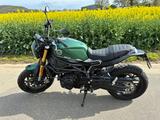 Benelli Leoncino 800 - BENELLI LEONCINO 800