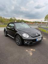 Volkswagen New Beetle Cabriolet 1.2 TSI - VW New Beetle von privat