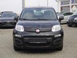 Fiat Panda Easy - Fiat Panda: Schwarz