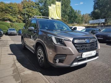 Subaru Forester - 5