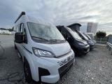 Carado Camper Van 602 PRO Automatik,DigitalPaket,Combi4 - Carado Camper Van 602 PRO