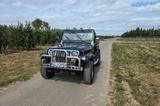 Jeep Wrangler 4.0 YJ  1991 Oldtimer - Jeep aus 1991