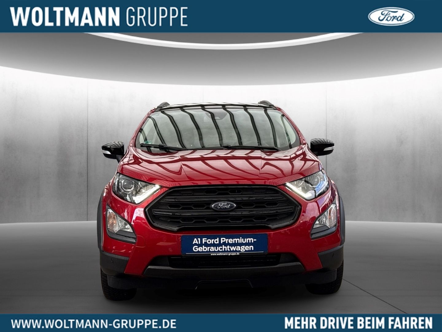 Fahrzeugabbildung Ford EcoSport Active Kamera B & O Winterpaket AHK abn