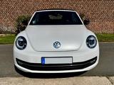 Volkswagen Cabrio 1.4 TSI BMT Xenon Leder Navi - Volkswagen Beetle in Düsseldorf