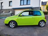 Volkswagen Lupo 3L TDI Automatik  - Volkswagen Lupo in Wuppertal
