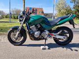 Honda Hornet CB600F/CB600S - Angebote entsprechen deinen Suchkriterien