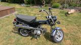 Honda DAX ST 50 AB23 - Angebote entsprechen deinen Suchkriterien