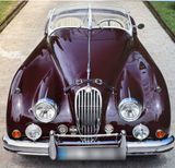 Jaguar XK 140 Type C Roadster - Jaguar XK: Jag