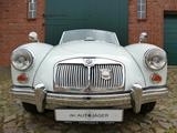 MGA 1600 Tourer 46 Jahre in einem Besitz! - MG Oldtimer: Cabrio
