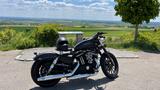Harley-Davidson 883 - HARLEY-DAVIDSON 2009 883