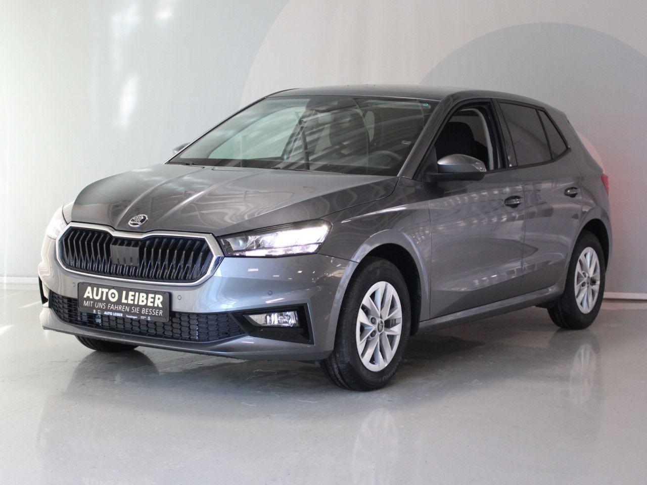 Skoda Fabia 1.0 TSI Selection RFK/PDC/APP/beheizbare