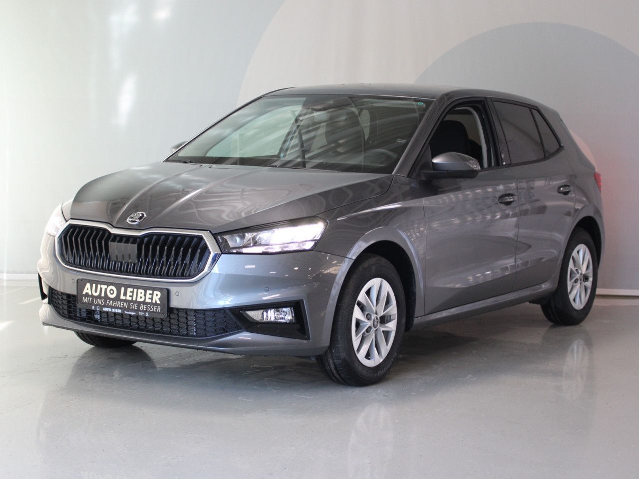 Fahrzeugabbildung SKODA Fabia 1.0 TSI Selection RFK/PDC/APP/beheizbare
