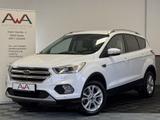 Ford Kuga Titanium 1.5 AHK Xenon Navi Kamera - Ford in Rheine
