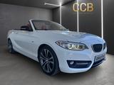 BMW 220 d Cabrio / Leder / Sport / ab 199 € mtl. - mit Diesel-Antrieb: Cabrio