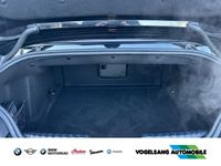 BMW Z4 - Vorschau Bild 7