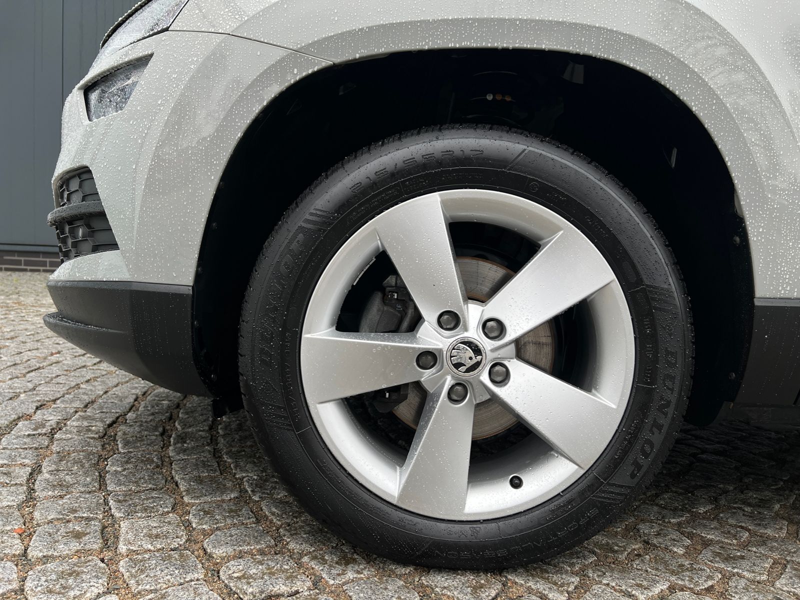 Fahrzeugabbildung SKODA Karoq Ambition 1.5 TSI *AHK, Climatronic, Sitzhz