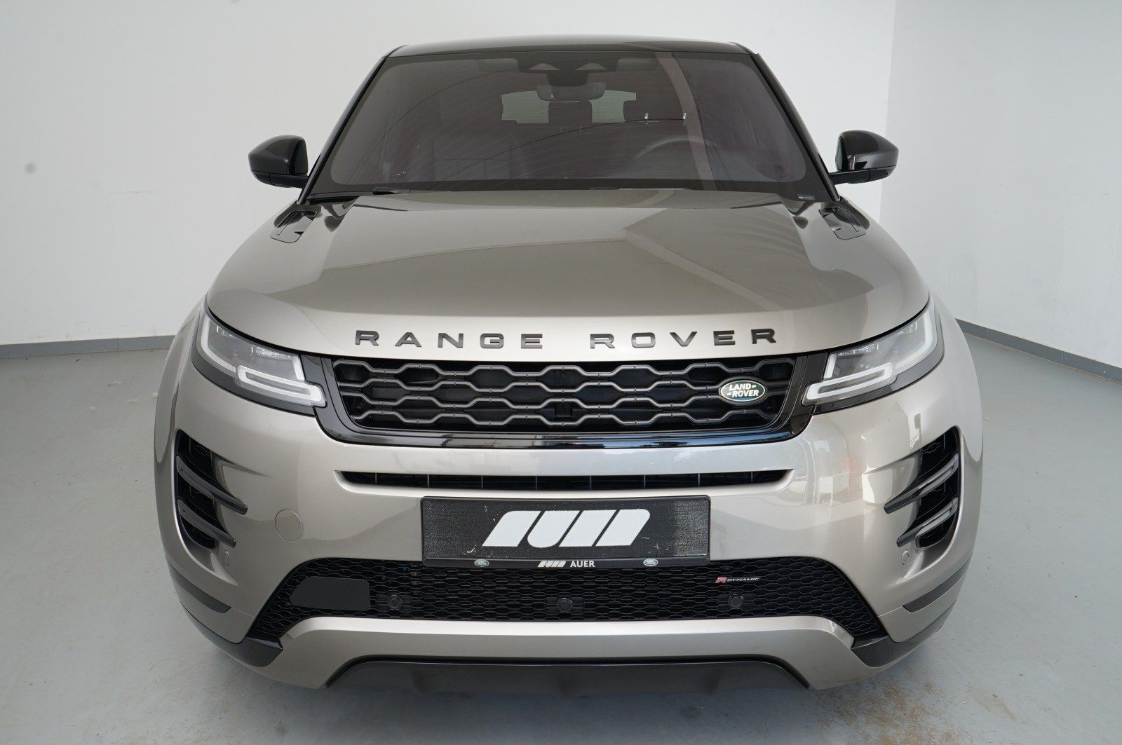 Land Rover Range Rover Evoque P300e (Navi LED ACC ) imagem 3