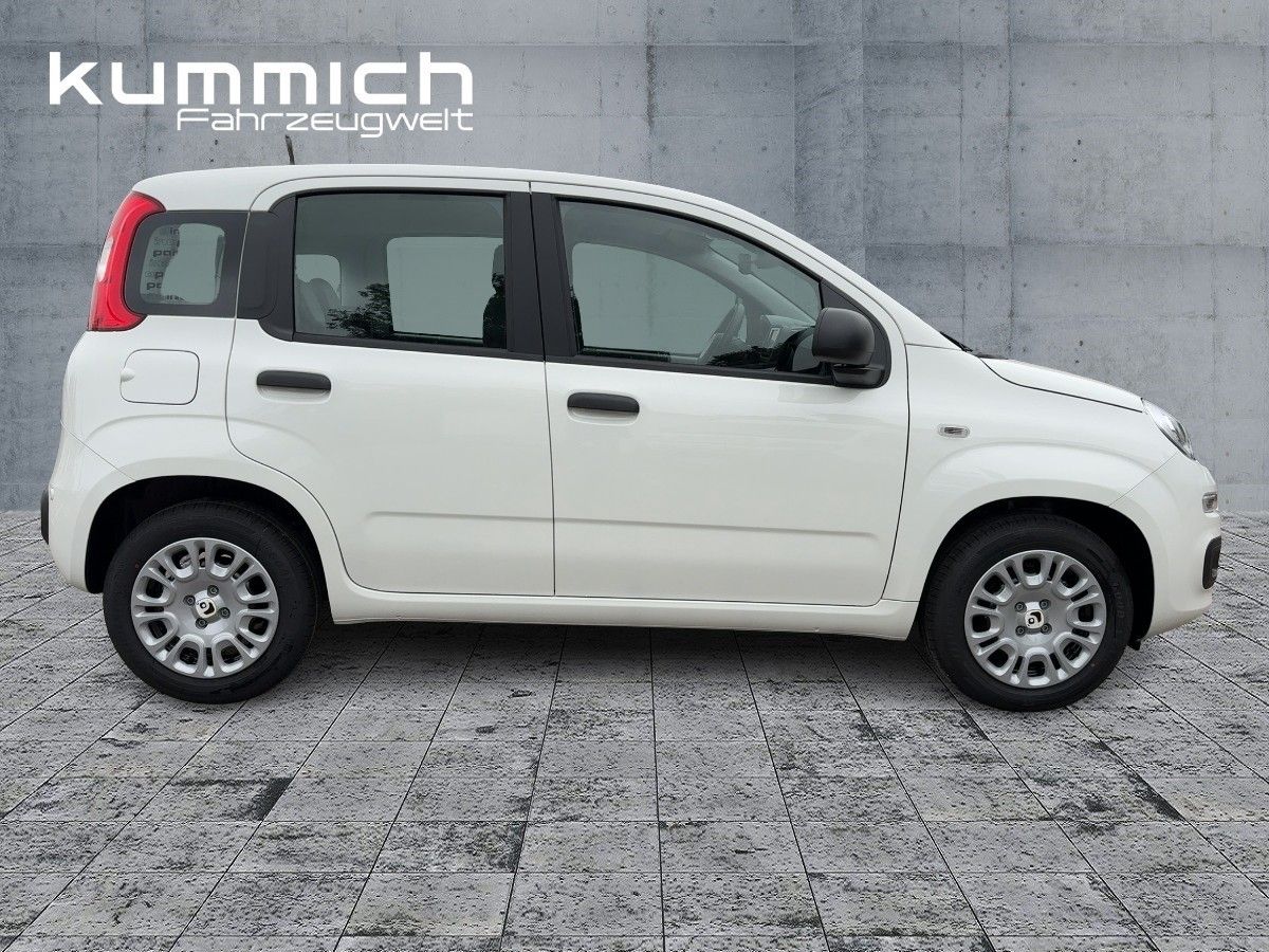 Fiat Panda - Bild 3