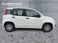 Fiat Panda - Vorschau Bild 3