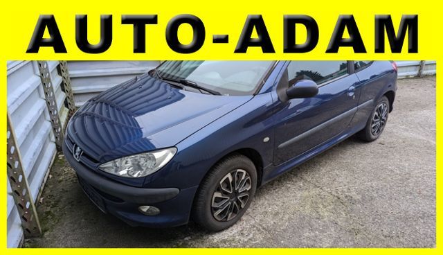 Peugeot 206 Grand Filou