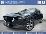 Mazda CX-30"Selection" "DES-P" M-Hybrid - Mazda CX-30 Gebrauchtwagen in Berlin
