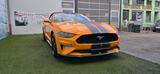 Ford Mustang GT  5.0 V8 Aut.*Leder*Navi*LED*SHZ*Kam.* - Ford Mustang mit Benzin-Antrieb: Cabrio, 5.0