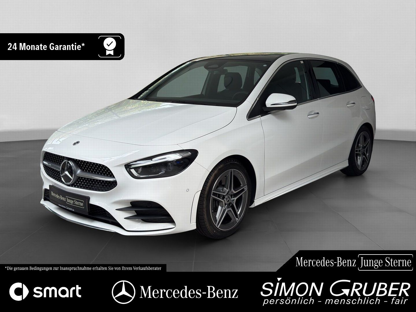 Fahrzeugabbildung Mercedes-Benz B 250 4M AMG Pano Distronic 360 Memory HUD MBeam